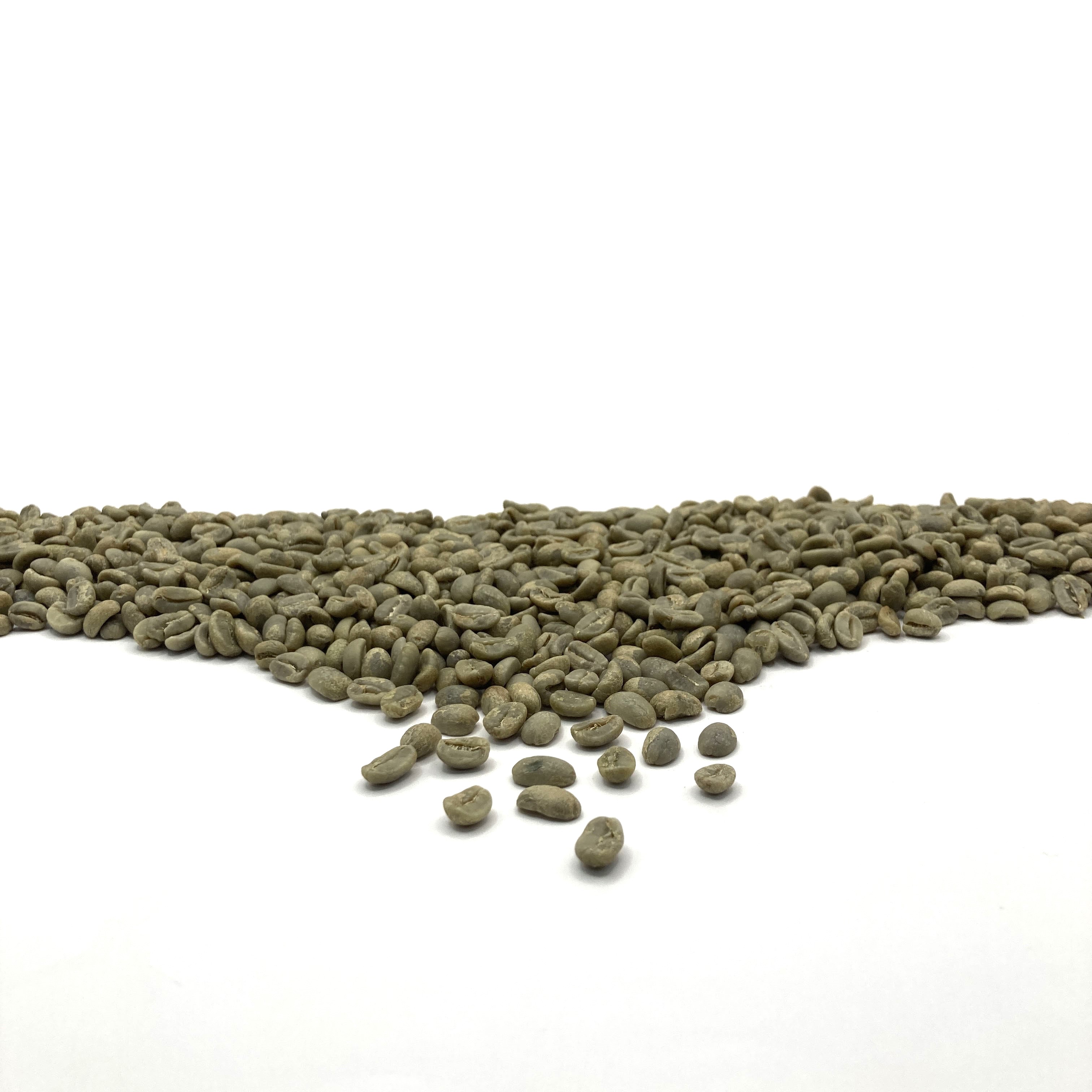 Nicaragua:  Finca La Rubia SHB, Jinotega Copy NICRUB-COPY